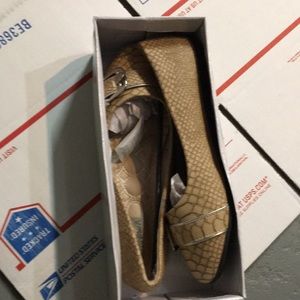 Women’s Flat Shoe US Size 10 Brown. Brand New
